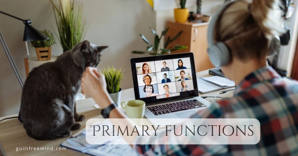 Primary functions